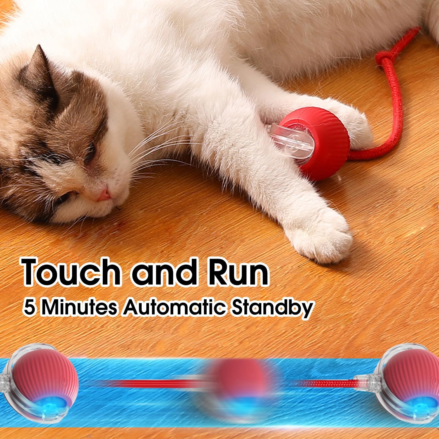 Cat playing with a red and blue toy on a wooden floor, with text 'Touch and Run 5 Minutes Automatic Standby'.