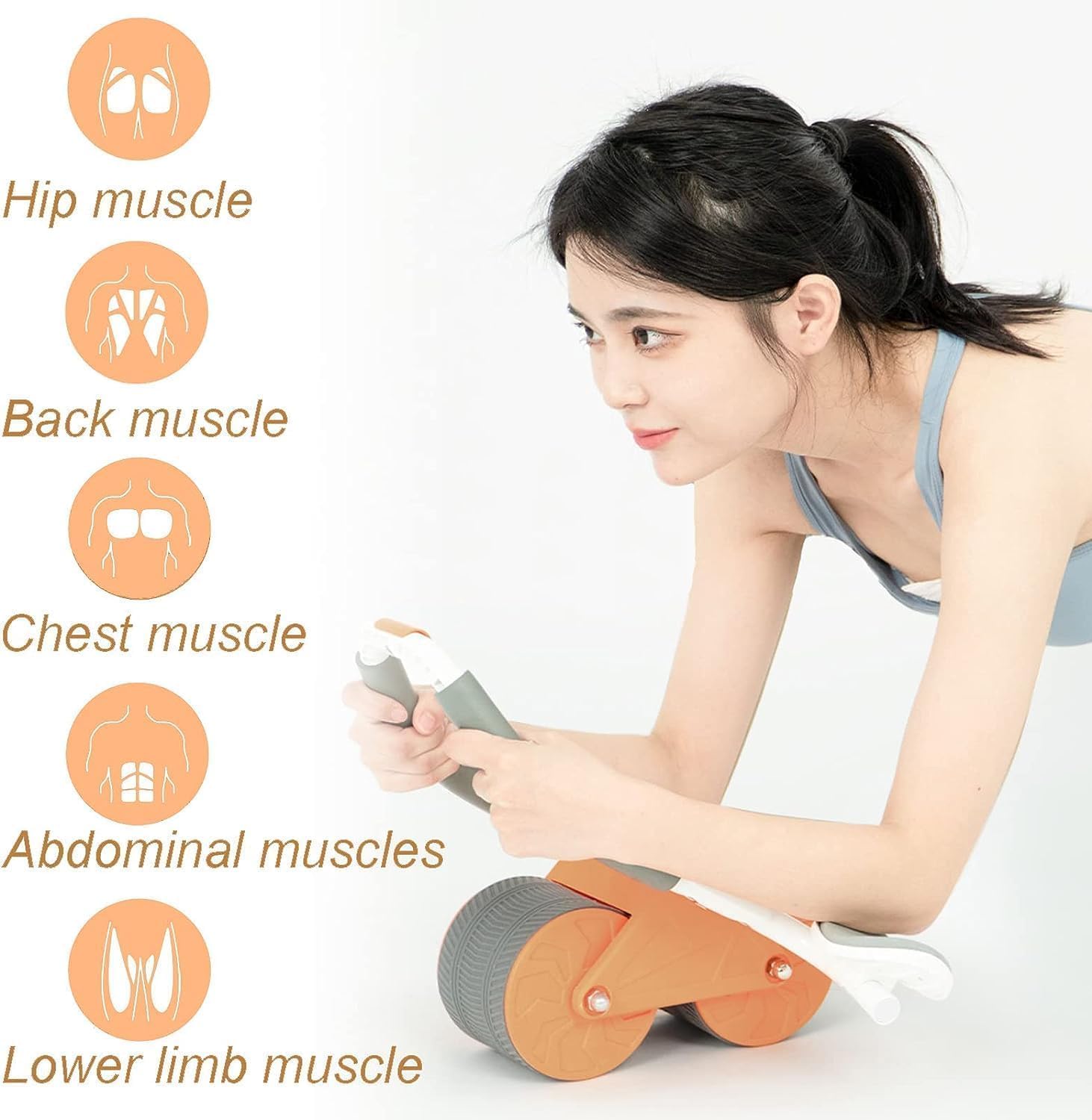 Abdominal Exercise Roller Wheel