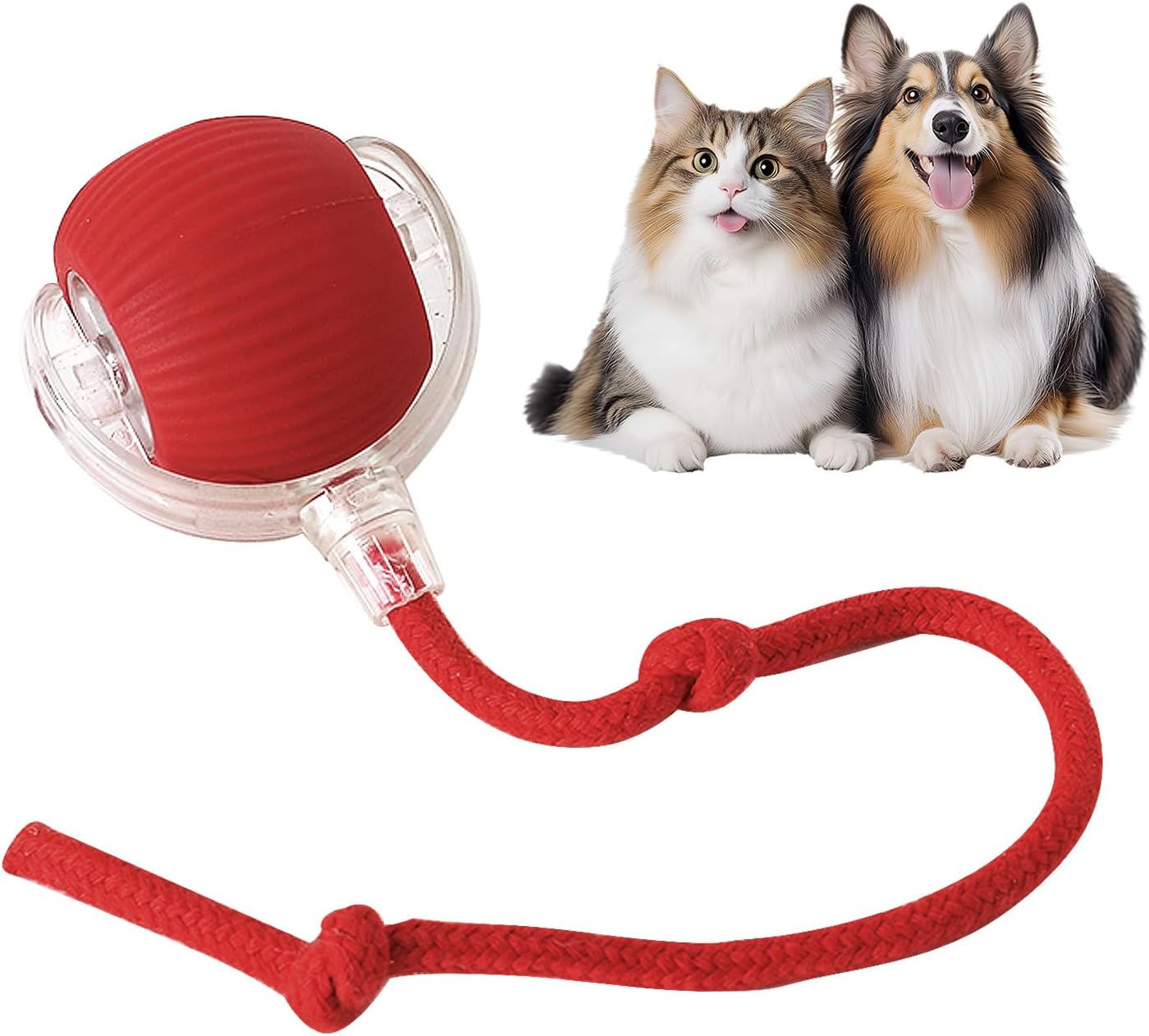 Red pet toy with a rope, accompanied by a cat and a dog on a white background